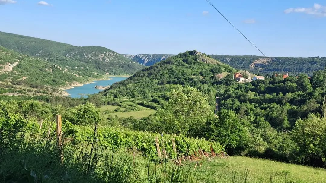 Ričice i Zeleno jezero u zelenom ljetnom krajoliku